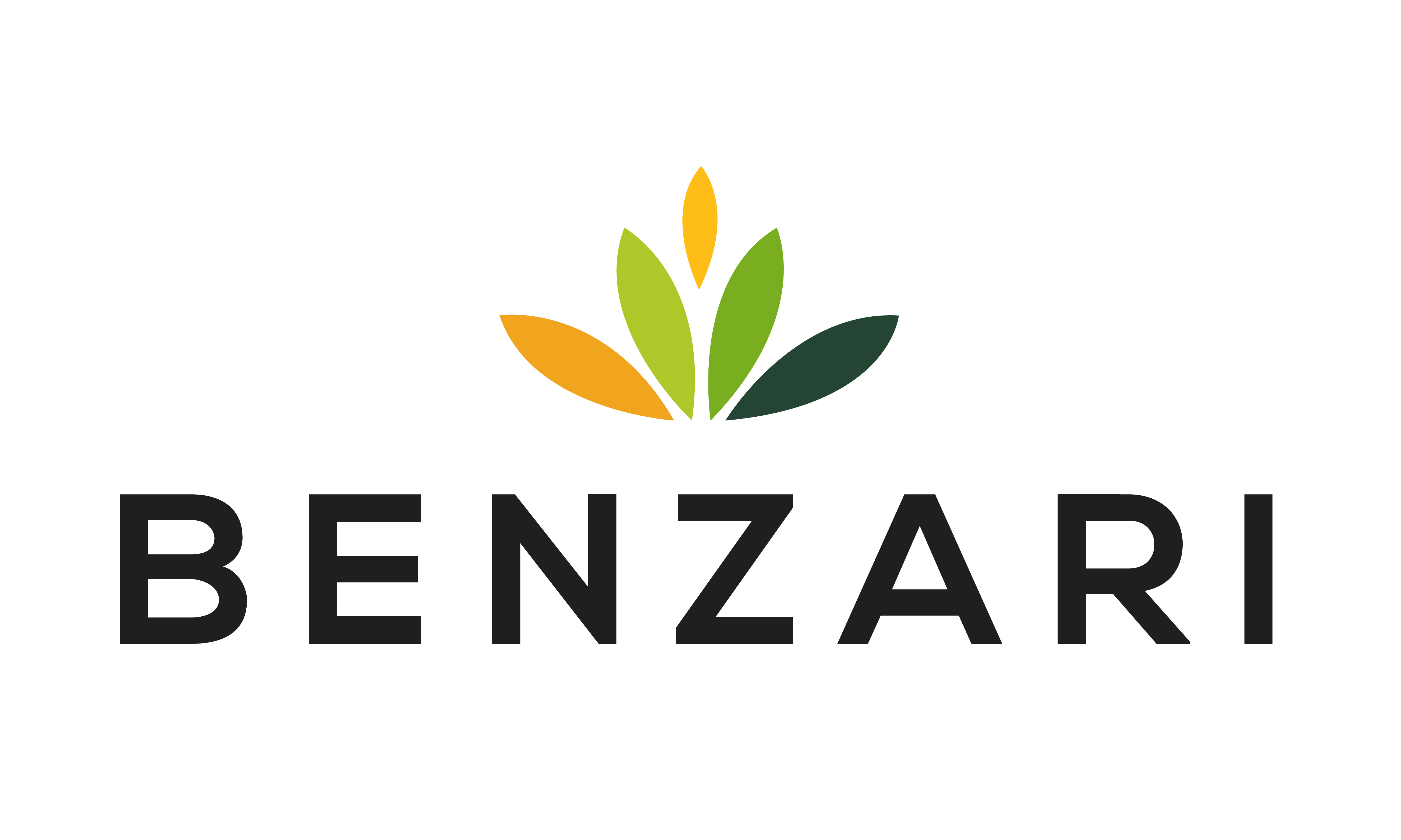 Benzari.com - Creative premium domains